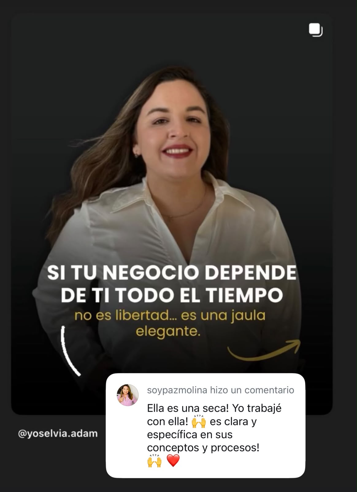 Comentario de Paz Molina recomendando a Yoselvia
